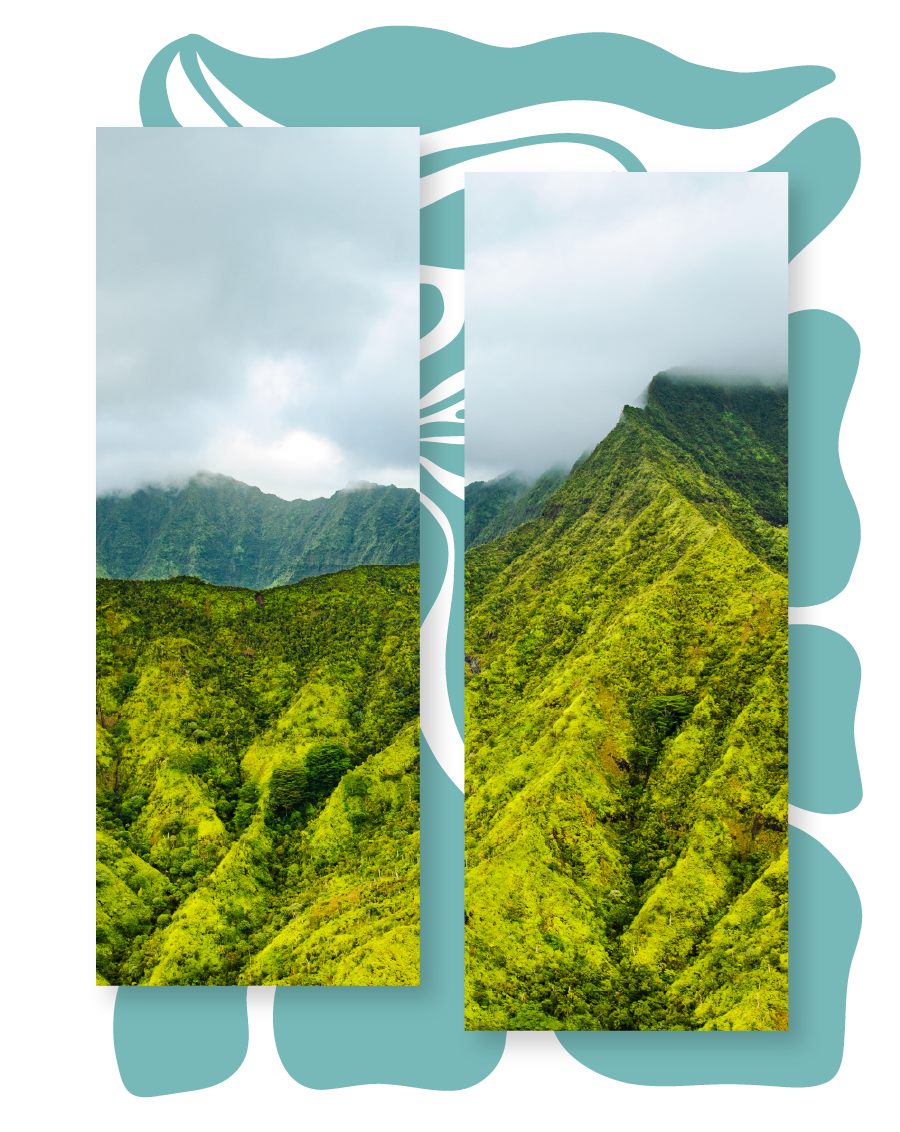 Activity Image_Honolua Ridgeline