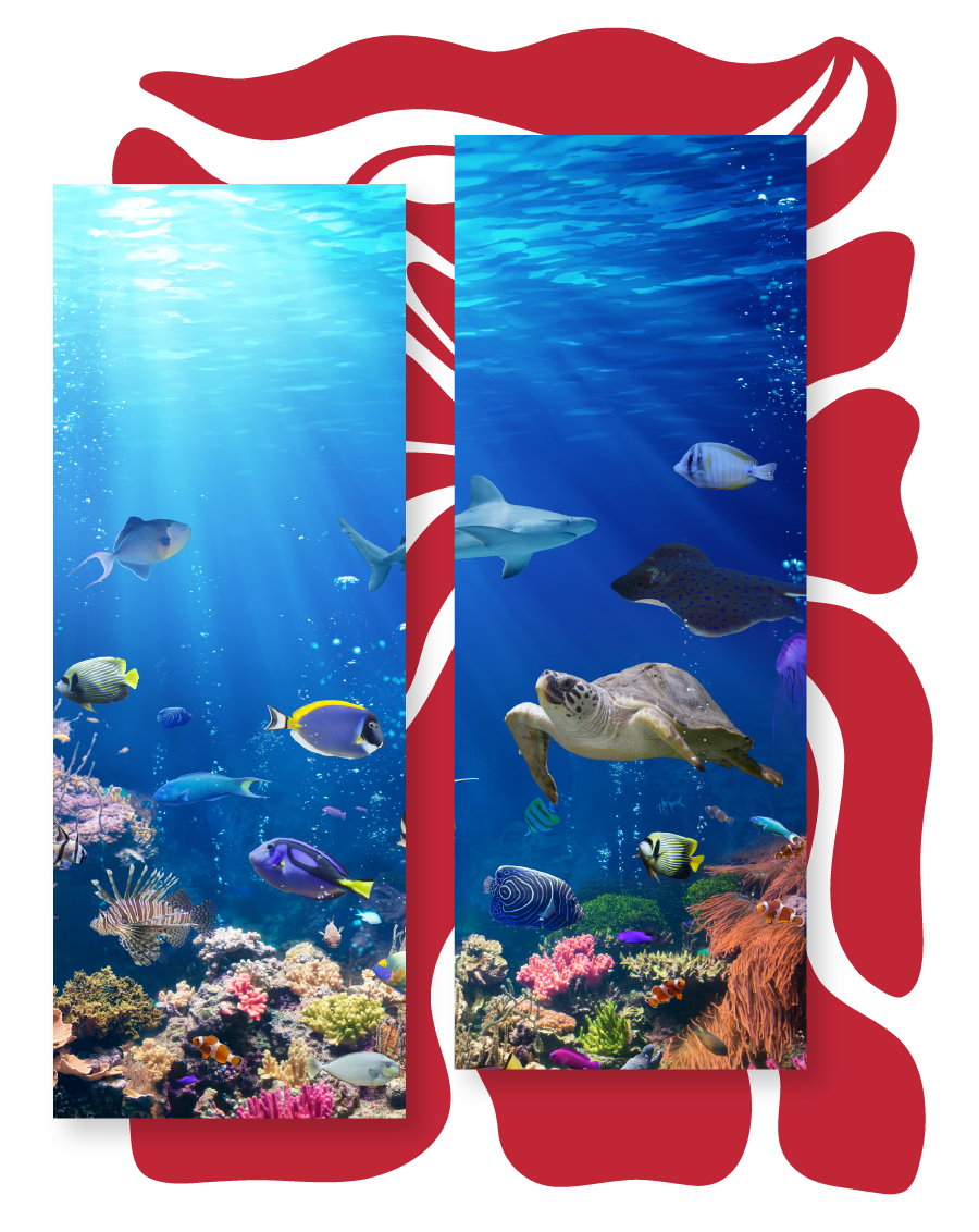 Activity Image_Iao Valley-1