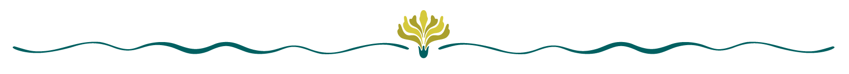 Hawaii Website_Dividers-01 Hawaii Website_Dividers-01