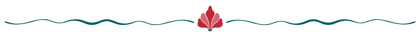 Hawaii Website_Dividers-02-2