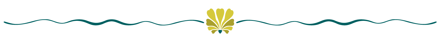 Hawaii Website_Dividers-03-1