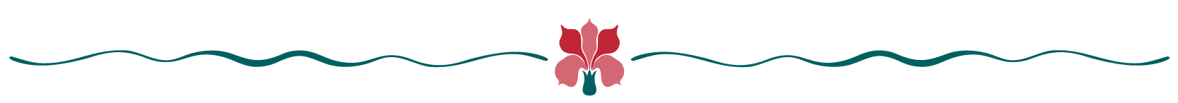 Hawaii Website_Dividers-04-1 Hawaii Website_Dividers-04-1