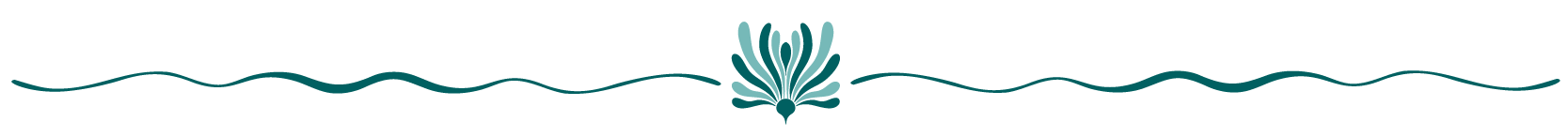 Hawaii Website_Dividers-05-1