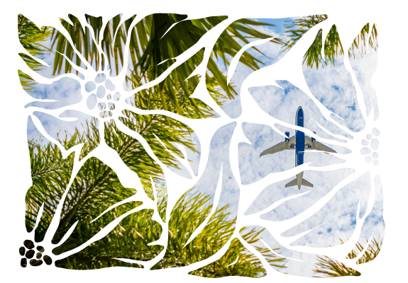 Homepage Images_Travel